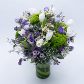 LAVENDULA